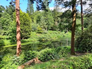 Leonardslee Gardens
